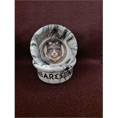 Raccoon Olimpos Serisi Ares Seramik Mama Ve Su Kabı 300ml