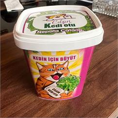 Kedi Otu - Kedin İçin Büyüt