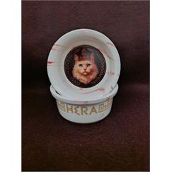 Raccoon Olimpos Serisi Hera Seramik Mama Ve Su Kabı 300ml