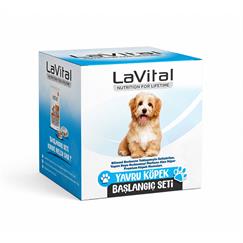 LaVital Yavru Köpek Başlangıç Seti