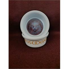 Raccoon Olimpos Serisi Poseidon Seramik Mama Ve Su Kabı 300ml