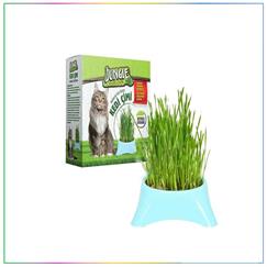 Jungle Doğal Kedi Çimi
