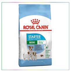 Royal Canin Mini Starter Anne Yavru Köpek Maması 4KG