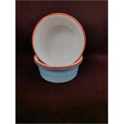 Raccoon Turnetli Mavi Seramik Mama Ve Su Kabı 300ml