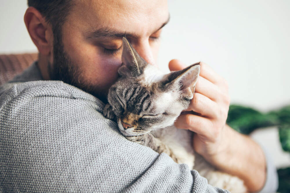 Kedinizin Sizi Sevdiğini Gösteren Davranışları