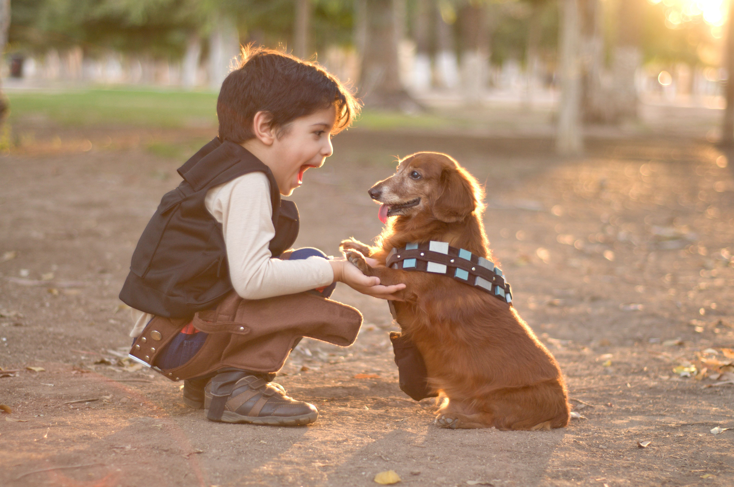 Çocuklarla Köpekleri Büyütmenin Faydaları Nelerdir?