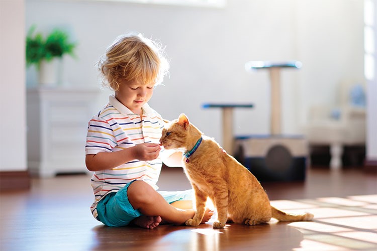 Evde Kedi Beslemenin Çocuklara Faydaları Nelerdir?