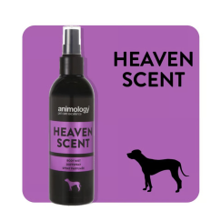 Animology Heaven Scent Fragrance Mist Köpek Parfümü 150 ML - AHS150