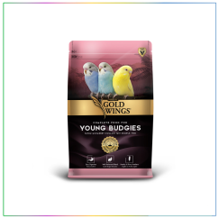 Gold Wings Premium Yavru Muhabbet Kuşu Yemi 1kg