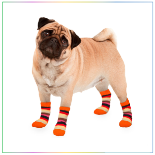 Karlie Çizgili Desenli Kaymaz Taban 2li Köpek Çorabı Small