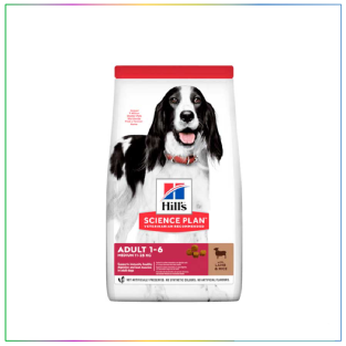 Hill's Adult Medium Lamb Rice Kuzu Etli ve Pirinçli 14 kg Yetişkin Köpek Maması