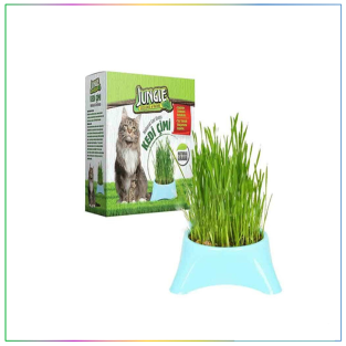 Jungle Doğal Kedi Çimi