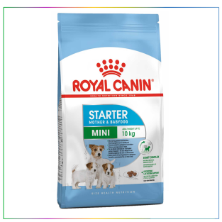 Royal Canin Mini Starter Anne Yavru Köpek Maması 4KG
