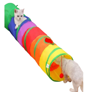 Düz Kedi Oyun Tüneli