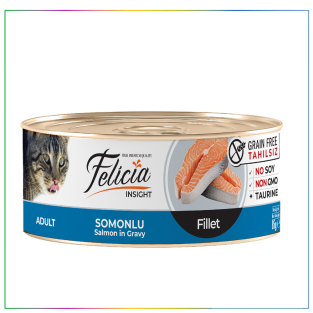 Felicia Tahılsız 85 gr Somonlu Fileto Yaş . Kedi
