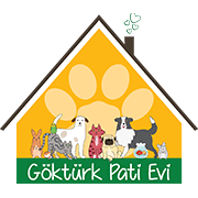 Göktürk Pati